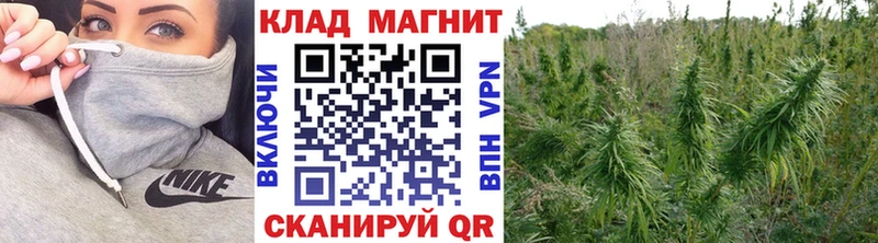 Где купить наркотики Чудово Канабис  Alpha PVP  Меф мяу мяу  Кокаин 