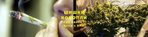 сатива Балабаново